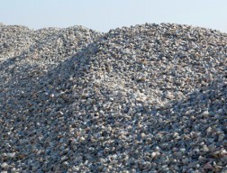 Aggregate Production
